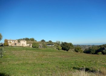 Foto 14 - Agriturismo Cupra Marittima - foto 14