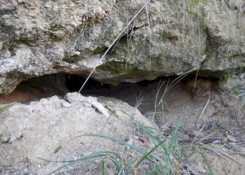 Foto 16 - Agriturismo Cupra Marittima - foto 16