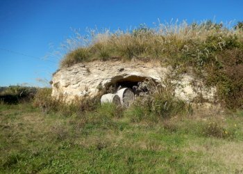 Foto 17 - Agriturismo Cupra Marittima - foto 17