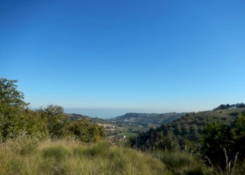 Foto 18 - Agriturismo Cupra Marittima - foto 18