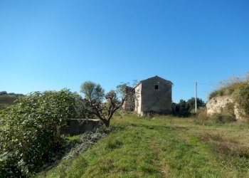 Foto 19 - Agriturismo Cupra Marittima - foto 19