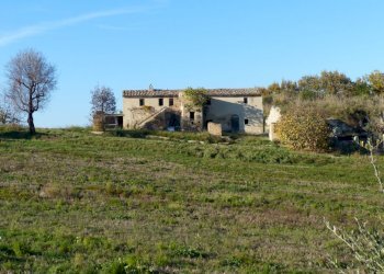 Foto 20 - Agriturismo Cupra Marittima - foto 20