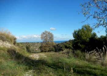 Foto 21 - Agriturismo Cupra Marittima - foto 21