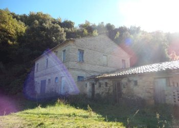 Foto 22 - Agriturismo Cupra Marittima - foto 22