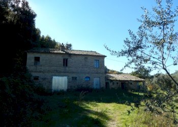 Foto 23 - Agriturismo Cupra Marittima - foto 23