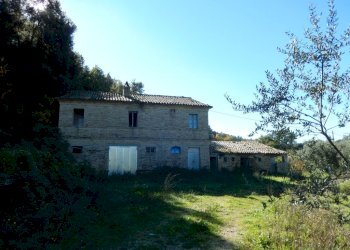 Foto 24 - Agriturismo Cupra Marittima - foto 24