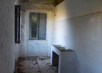 Foto 28 - Agriturismo Cupra Marittima - foto 28