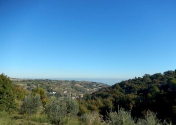 Foto 36 - Agriturismo Cupra Marittima - foto 36