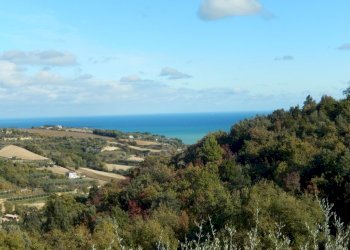 Foto 38 - Agriturismo Cupra Marittima - foto 38