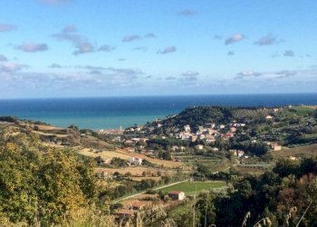 Foto 39 - Agriturismo Cupra Marittima - foto 39