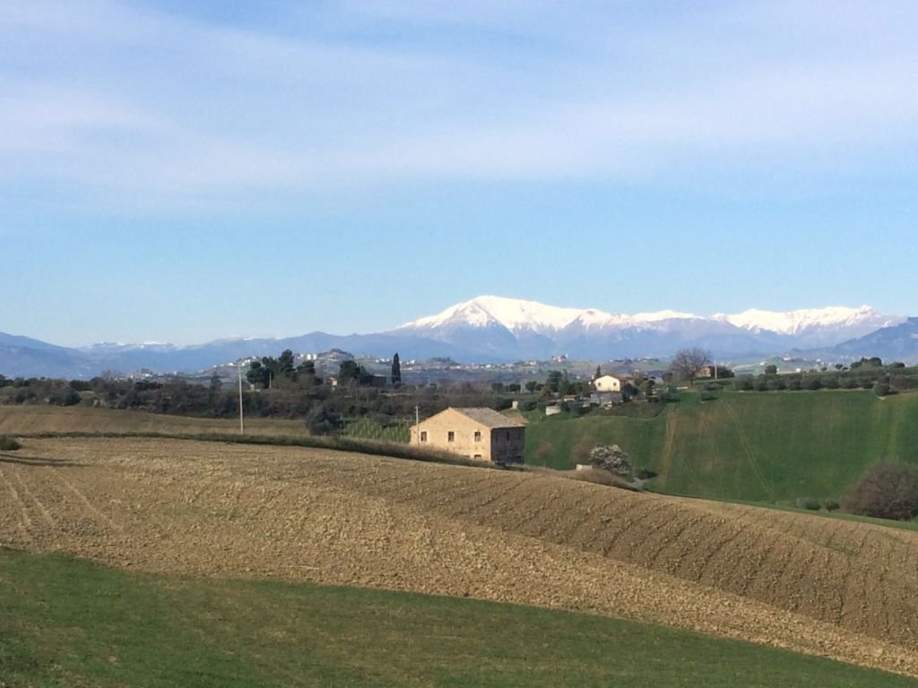 Foto 1 - Rustico Monteprandone - foto 1