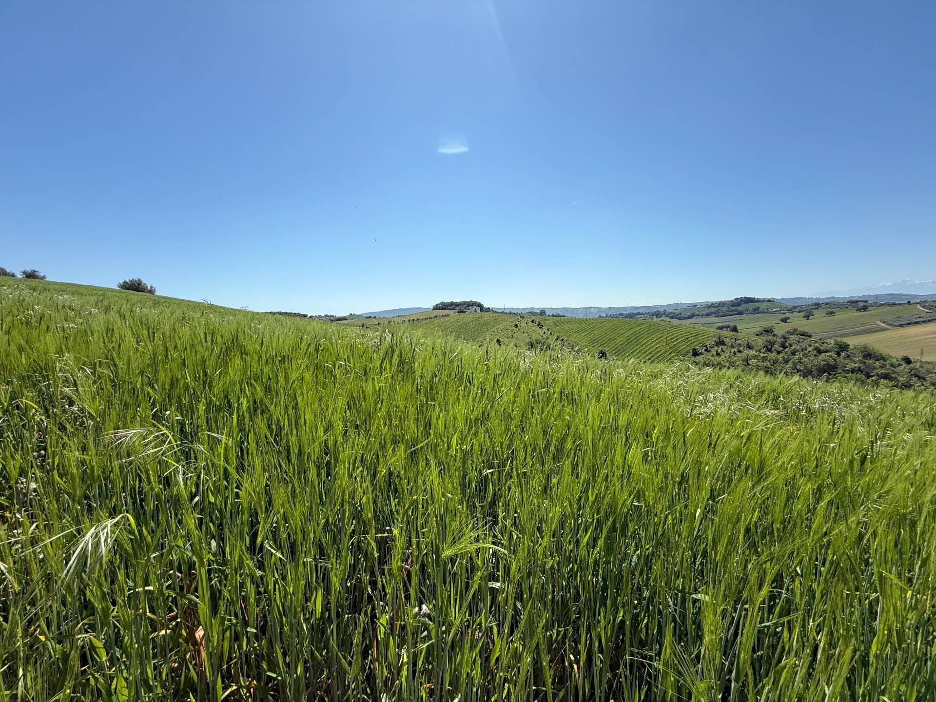 Foto 2 - Rustico Monteprandone - foto 2