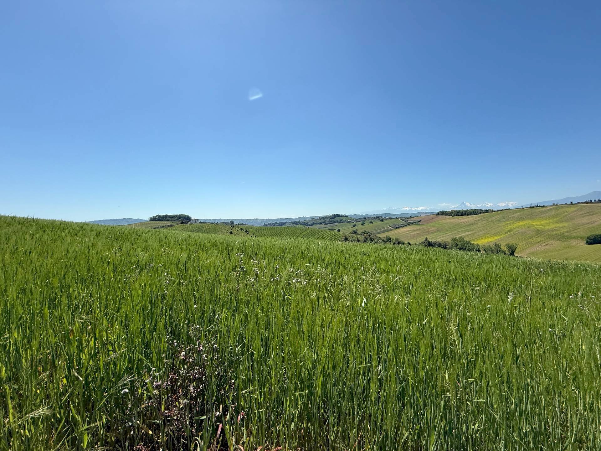 Foto 3 - Rustico Monteprandone - foto 3