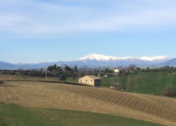 Foto 1 - Rustico Monteprandone - foto 1