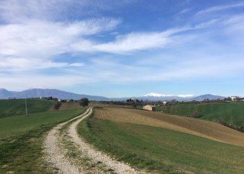 Foto 8 - Rustico Monteprandone - foto 8