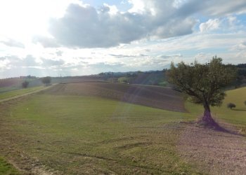 Foto 9 - Rustico Monteprandone - foto 9