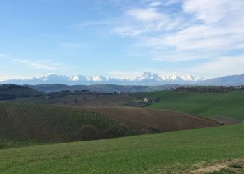 Foto 13 - Rustico Monteprandone - foto 13