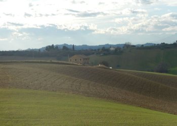 Foto 17 - Rustico Monteprandone - foto 17