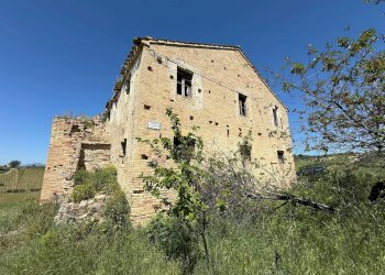 Foto 3 - Rustico Monteprandone - foto 3