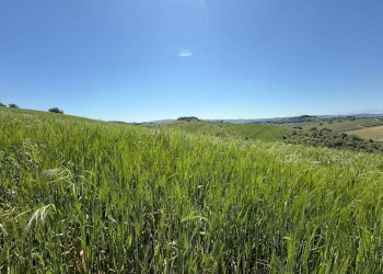 Foto 4 - Rustico Monteprandone - foto 4