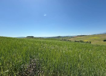 Foto 5 - Rustico Monteprandone - foto 5