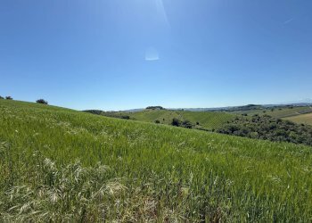 Foto 18 - Rustico Monteprandone - foto 18