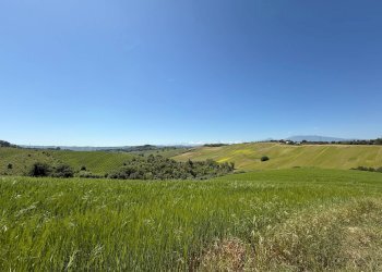 Foto 19 - Rustico Monteprandone - foto 19