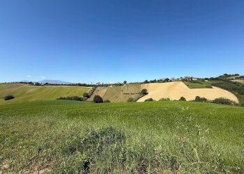 Foto 20 - Rustico Monteprandone - foto 20