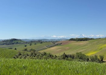 Foto 21 - Rustico Monteprandone - foto 21