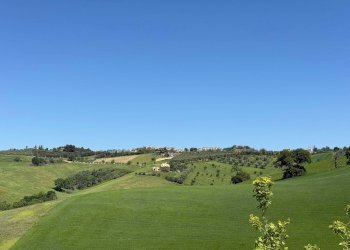 Foto 23 - Rustico Monteprandone - foto 23