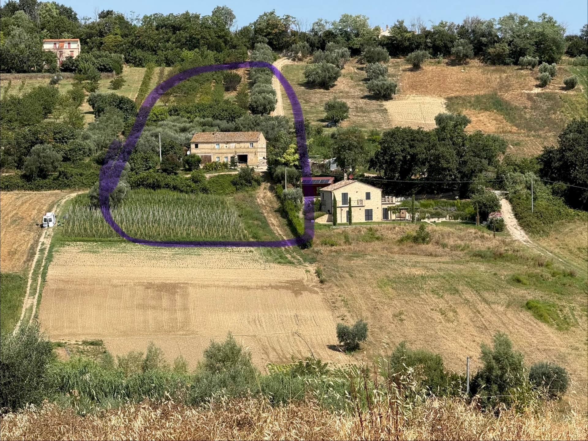 Foto 2 - Rustic Altidona - photo 2