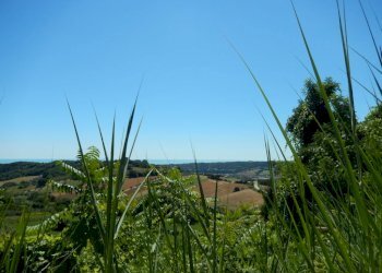 Foto 7 - Rustico Altidona - foto 7