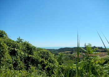 Foto 10 - Rustico Altidona - foto 10