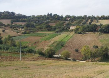 Foto 12 - Rustico Altidona - foto 12