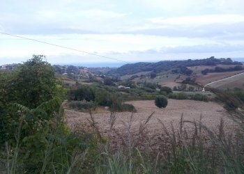 Foto 13 - Rustico Altidona - foto 13