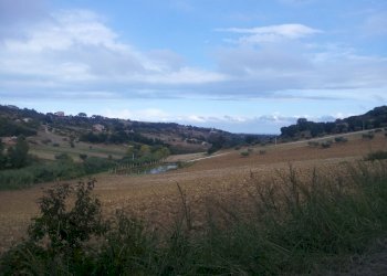 Foto 14 - Rustico Altidona - foto 14