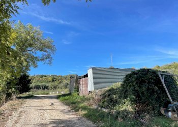 Foto 16 - Rustico Altidona - foto 16