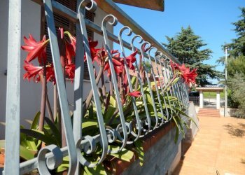 Foto 15 - Rustic Controguerra - photo 15