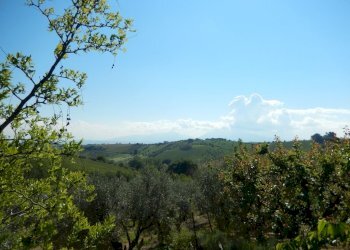 Foto 16 - Rustic Controguerra - photo 16