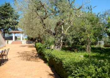 Foto 20 - Rustic Controguerra - photo 20