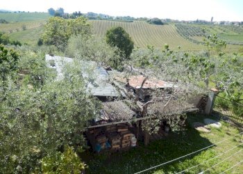 Foto 22 - Rustic Controguerra - photo 22