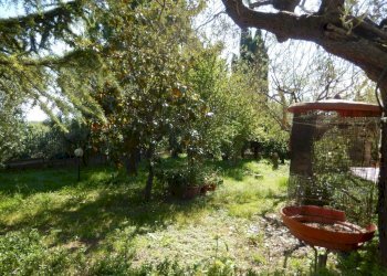 Foto 23 - Rustic Controguerra - photo 23