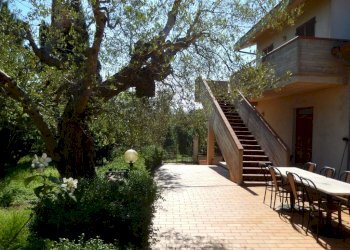 Foto 35 - Rustic Controguerra - photo 35