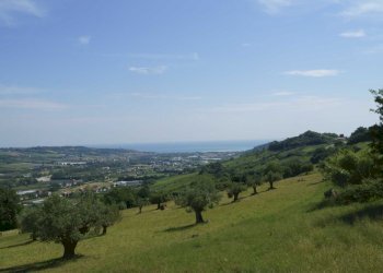 Foto 8 - Rustico Aso, Montefiore dell'Aso - foto 8