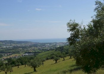 Foto 17 - Rustico Aso, Montefiore dell'Aso - foto 17