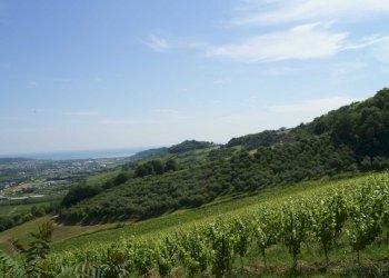 Foto 21 - Rustico Aso, Montefiore dell'Aso - foto 21