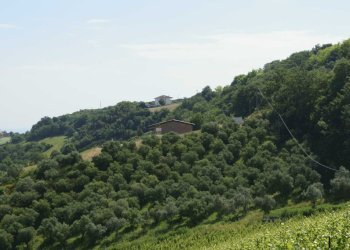 Foto 22 - Rustico Aso, Montefiore dell'Aso - foto 22