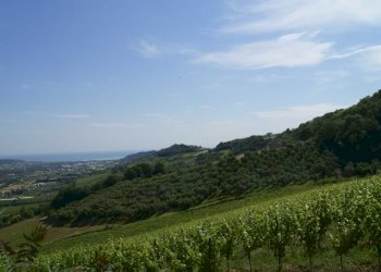 Foto 23 - Rustico Aso, Montefiore dell'Aso - foto 23