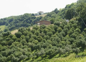 Foto 24 - Rustico Aso, Montefiore dell'Aso - foto 24