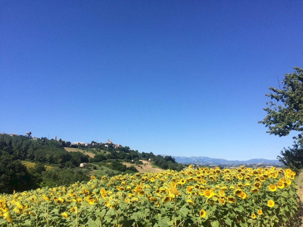 Foto 1 - Rustic Montelparo - photo 1